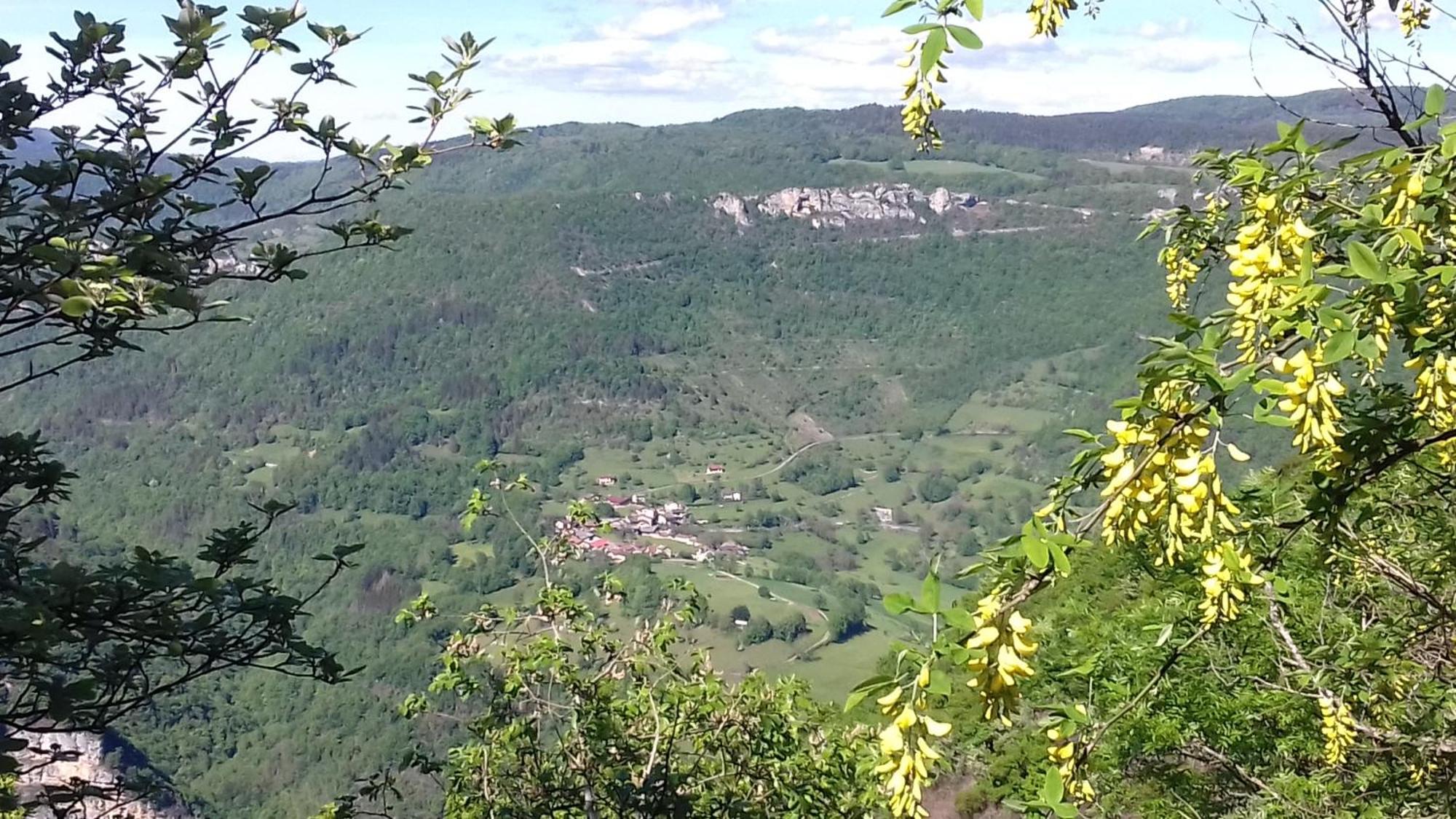 Villa O Joli Bugey à Saint-Rambert-en-Bugey Extérieur photo